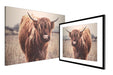 Highlander Cow Wall Art Decor