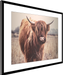 Highlander Cow Wall Art Decor