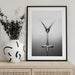 Still Life Art - Sumit Dhuper Framed Art | Home or Office Art