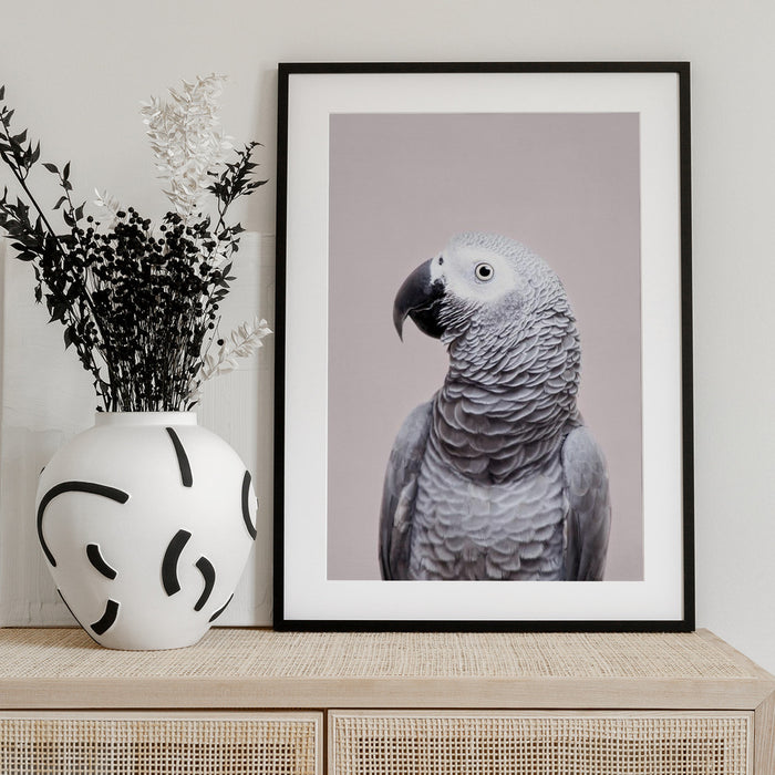 African Grey Framed Art Kathrin Pienaar | Home or Office Art