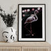 Dancing Flamingo Framed Art Shot by Clint | Home or Office Art