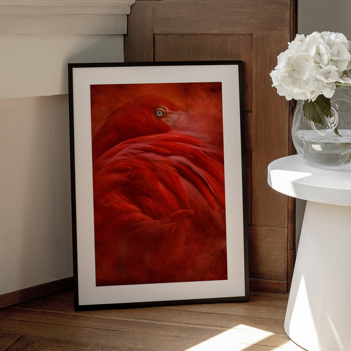 tropical Framed Art Jeffrey Hummel | Home or Office Art