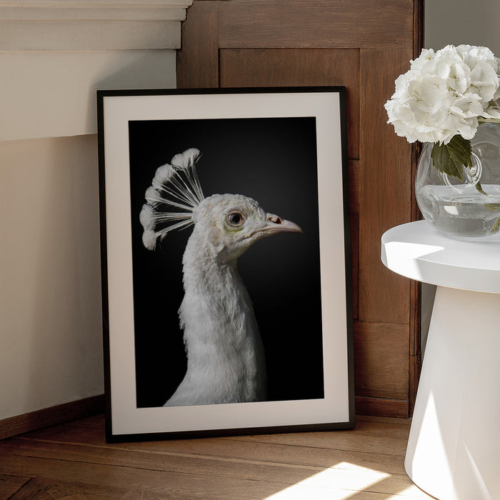 M A J E S T I C Framed Art fegari | Home or Office Art