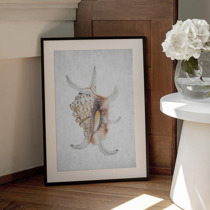 Spring Tide 03 - Shot by Clint Framed Art | Home or Office Art