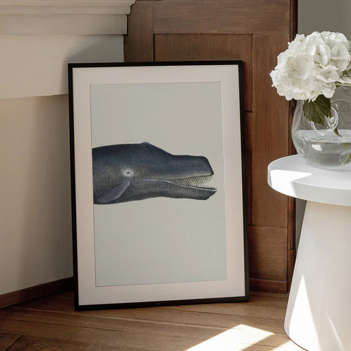 Whale I Tight Crop   Handcolored Sealife Lithograph 1824 - Vintage Poster Framed Art | Home or Office Art