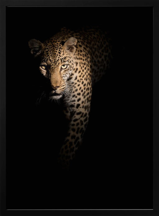 Out of the darkness Framed Art Richard Guijt | Home or Office Art