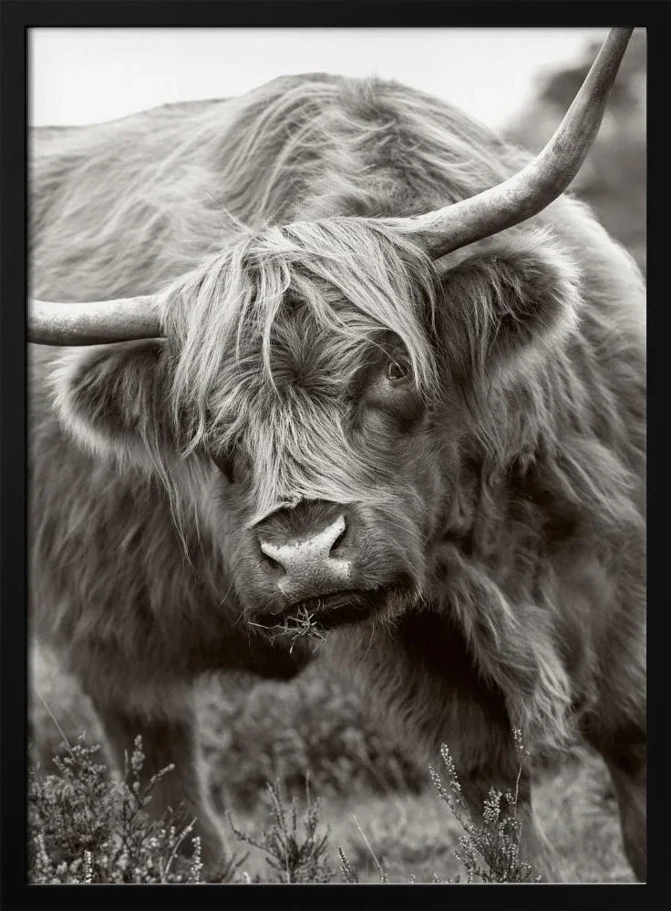 Explore Ukraine Art: Historical & Cultural Masterpieces Collection