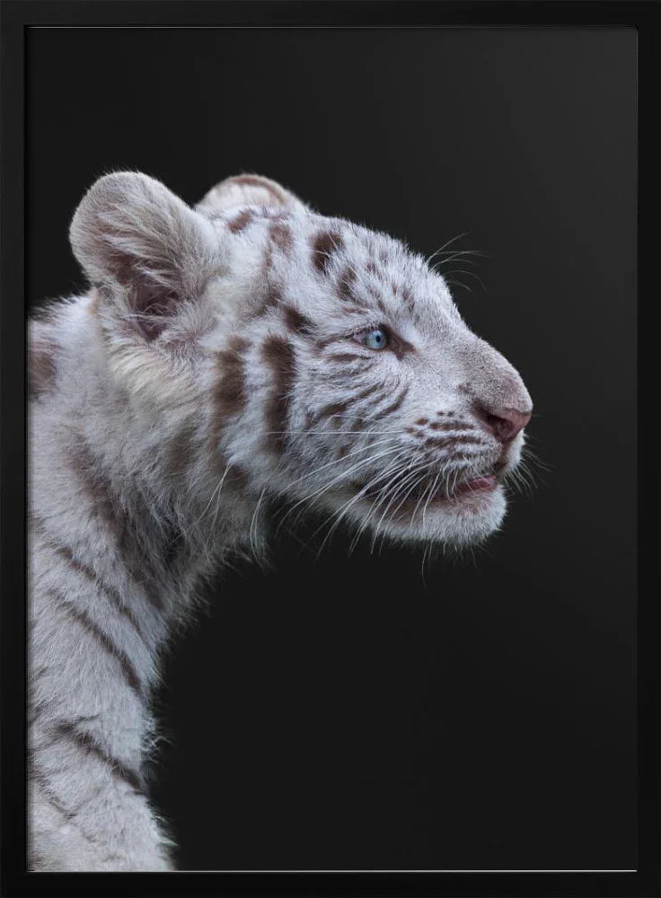 Explore Timeless Asian Art Masterpieces: Discover the Rich Tapestry