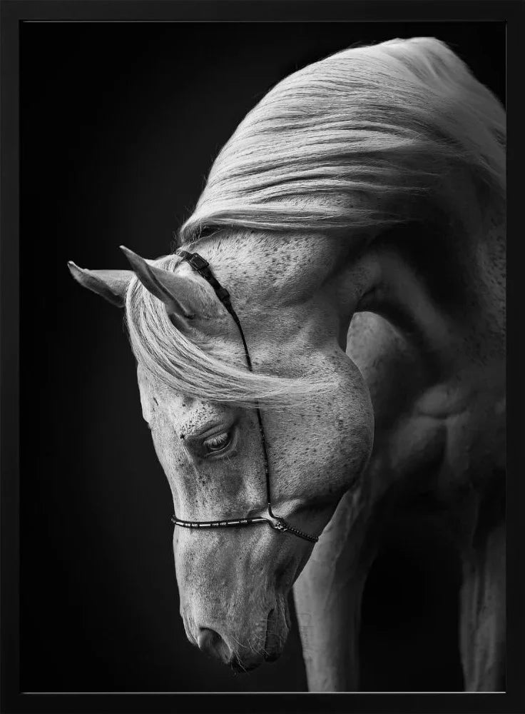 Explore Arabian Art: Timeless Masterpieces & Rich Heritage Collection