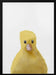 Duck Framed Art Pictufy Studio II | Home or Office Art