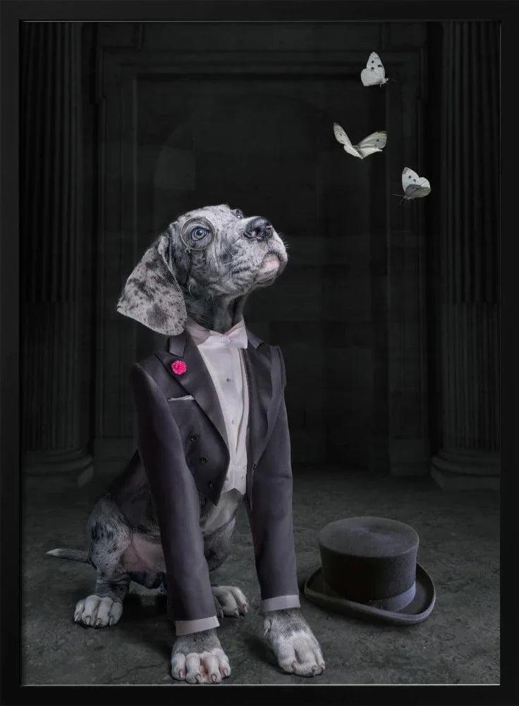 Exquisite Butterfly Art Collection: Captivating Home Decor Creations