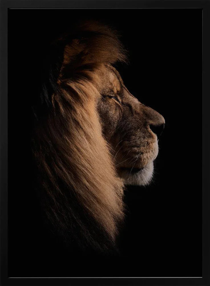 Minimalist Art Collection: Explore Simplicity & Elegance