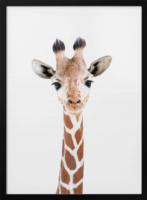 Baby Giraffe Framed Art Kathrin Pienaar | Home or Office Art