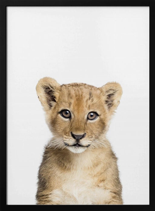 Baby Lion Framed Art Kathrin Pienaar | Home or Office Art