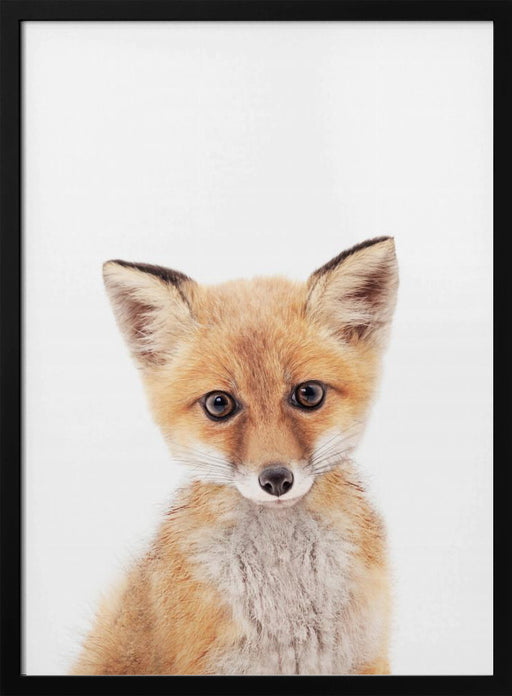 Baby Fox Framed Art Kathrin Pienaar | Home or Office Art