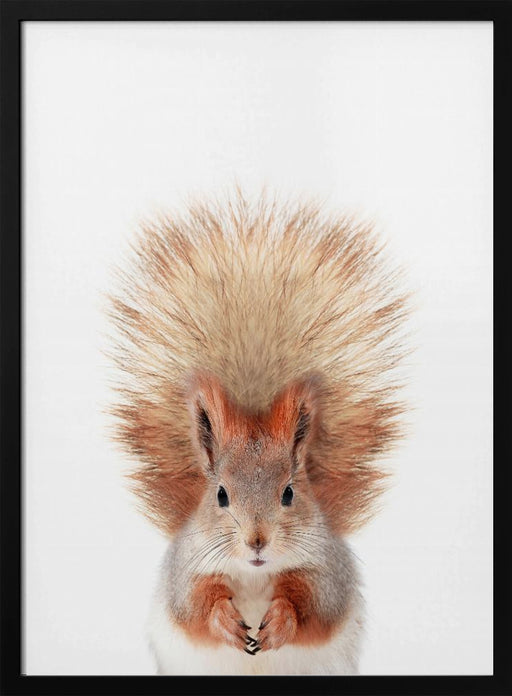 Baby Squirel Framed Art Kathrin Pienaar | Home or Office Art