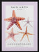 Non Arte Starfish - Rikke Løndager Boisen Framed Art | Home or Office Art