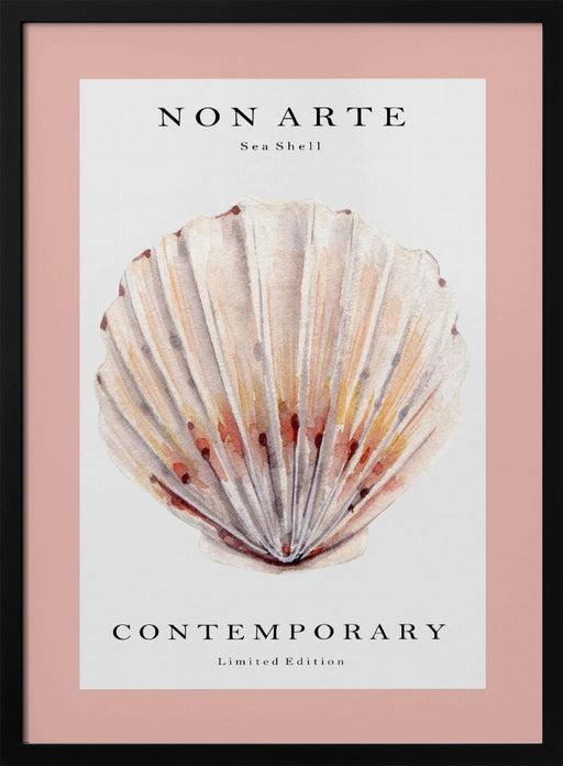 Non Arte Sea Shell no.2 - Rikke Løndager Boisen Framed Art | Home or Office Art