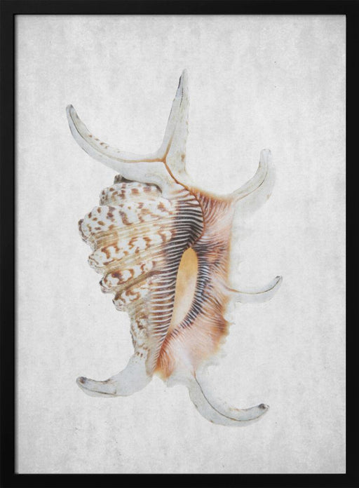 Spring Tide 03 - Shot by Clint Framed Art | Home or Office Art