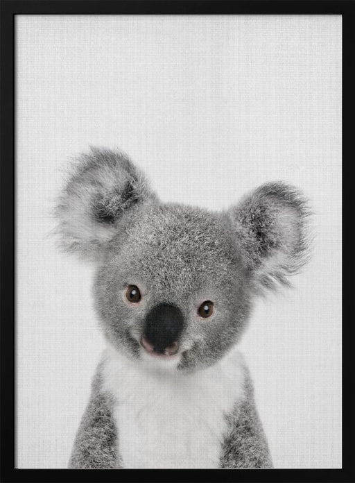 Peekaboo Baby Koala Framed Art Lola Peacock | Home or Office Art