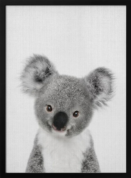 Peekaboo Baby Koala Framed Art Lola Peacock | Home or Office Art