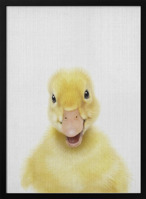 Peekaboo Baby Duck Framed Art Lola Peacock | Home or Office Art