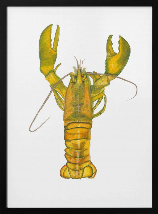 Lobster - Akintunde Durodola Framed Art | Home or Office Art