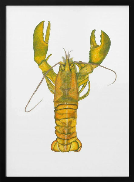Lobster - Akintunde Durodola Framed Art | Home or Office Art