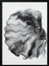 INK BETTA - Andi Halil Framed Art | Home or Office Art