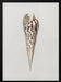  Mollusks Crop III - Charles Dessalines D Orbigny Framed Art | Home or Office Art