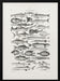 Sealife I - Oliver Goldsmith Framed Art | Home or Office Art