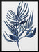 Blue Aquatic Plant Poster 1 - cartissi Framed Art | Home or Office Art