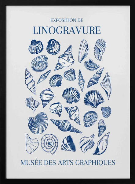 Lino Seashell Art Market - Jolly and Dash Framed Art | Home or Office Art