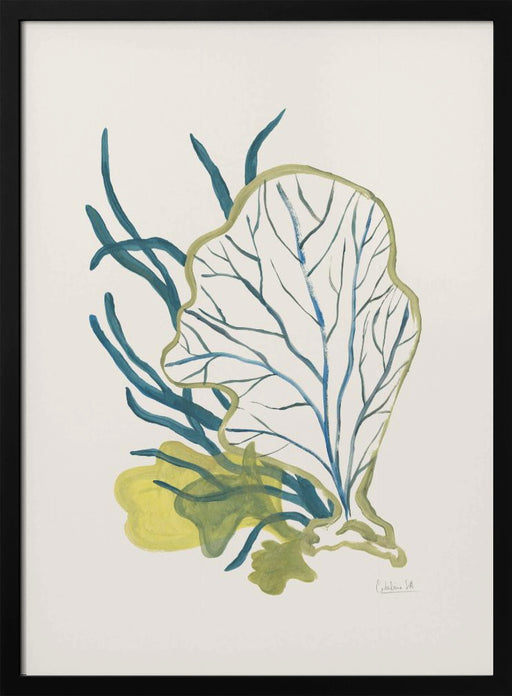 Algae No1 - Catalina Somolinos Framed Art | Home or Office Art