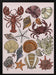 In the Sea - Valentina Harper Framed Art | Home or Office Art