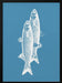 Pescados - Elizabeth C Framed Art | Home or Office Art