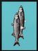 Sardinas - Elizabeth C Framed Art | Home or Office Art