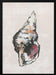 Shell Collector Art Print No 2 - cartissi Framed Art | Home or Office Art