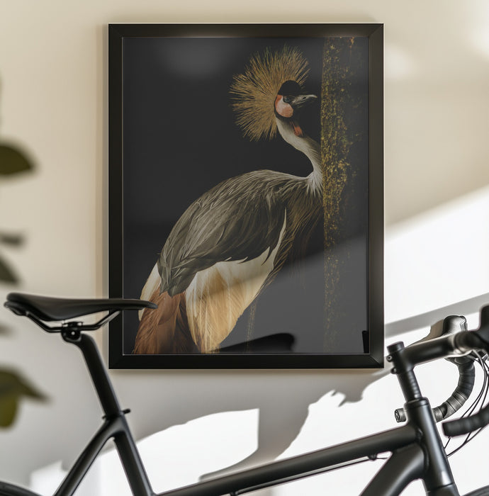 Grey Crowned Crane Framed Art Jealousy | Home or Office Art