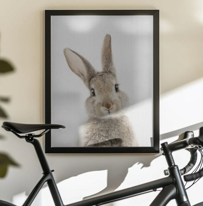 Peekaboo Bunny Framed Art Lola Peacock | Home or Office Art