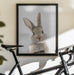 Peekaboo Bunny Framed Art Lola Peacock | Home or Office Art