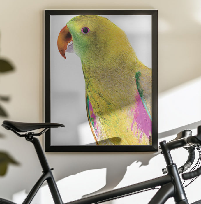 Polly Framed Art Shot by Clint | Home or Office Art