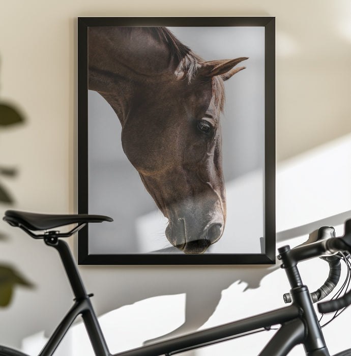 Russian Framed Art Shot by Clint | Home or Office Art