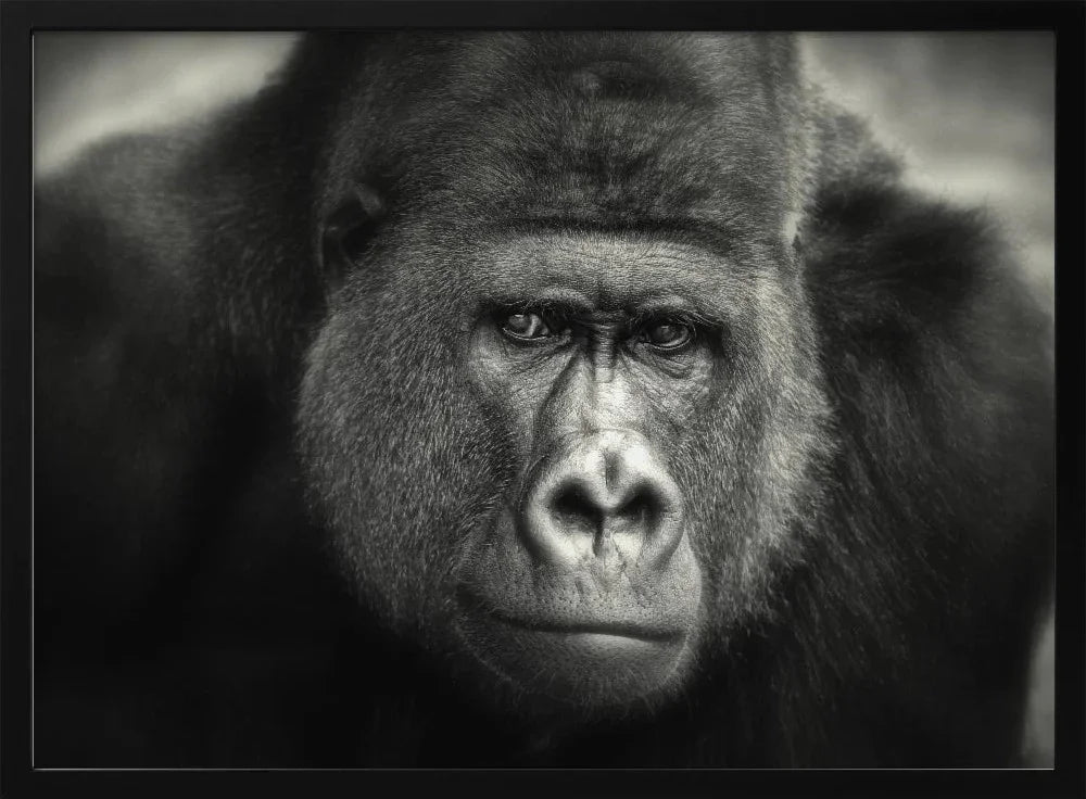 Joy of HAPPY Art Collection: Vibrant Creations to Brighten Your Space