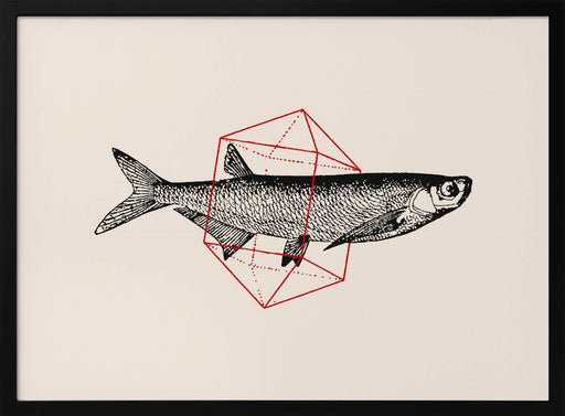 Fish In Geometrics Nº2 - Florent Bodart Framed Art | Home or Office Art