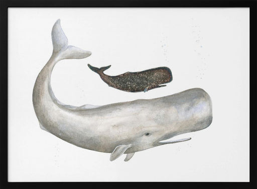 Gentle Ocean Giants - Isabelle Brent Framed Art | Home or Office Art