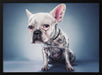 Big Head Project Framed Art Moshe Nachumovich | Home or Office Art