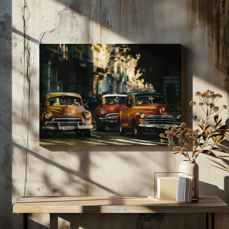 Come with me in the morning light - Gina Buliga Framed Art | Home or Office Art