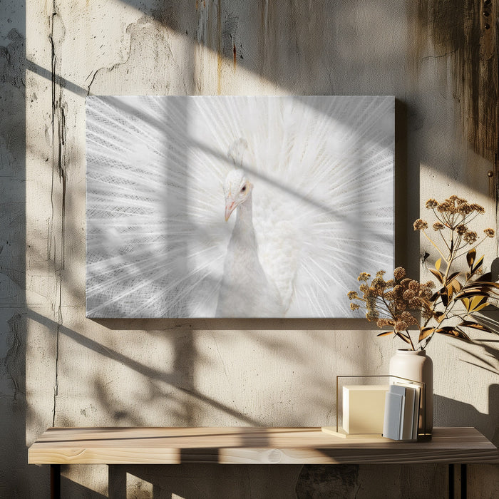 Splendid Whitie Framed Art fegari | Home or Office Art