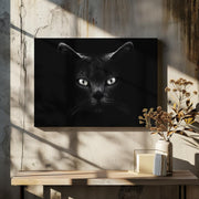 Untitled Framed Art Antonio Grambone | Home or Office Art